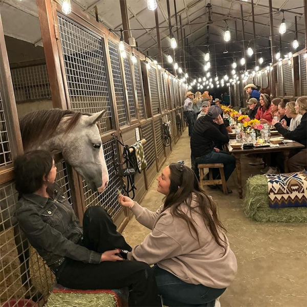 Вечірка в стайні 1