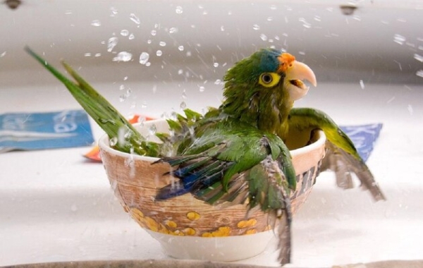 Земля вже на межі: 2024 рік може виявитися ще спекотнішим, ніж 2023-й Земля вже на межі: 2024 рік може виявитися ще спекотнішим, ніж 2023-й