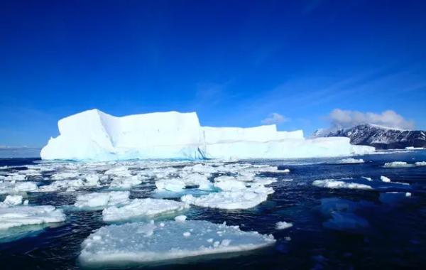 Глобальне потепління призвело до того, що токсичні водорості дісталися Арктики