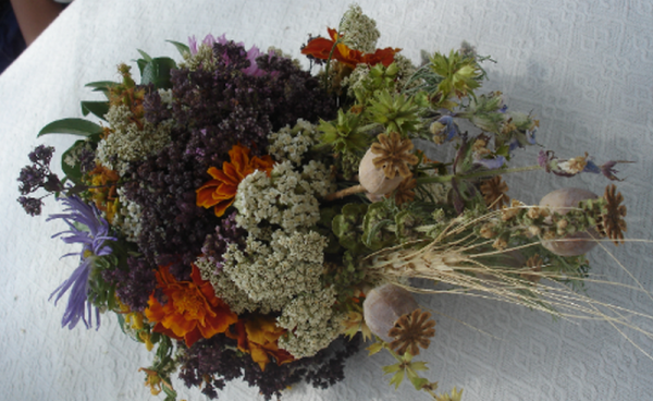 В букет вплітали макові головки, колоски та різні трави, що збирали в городі, полі чи лісі 1