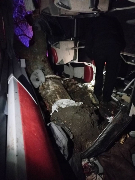 У Молдові автобус із пасажирами врізався у дерево. Фото ГІП