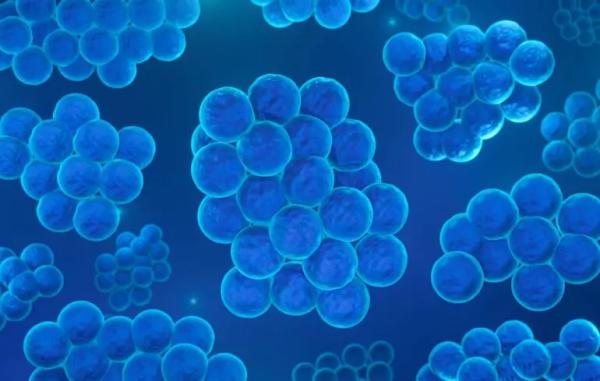 Бактерії мали резистентність ще задовго до появи синтетичних антибіотиків Бактерії мали резистентність ще задовго до появи синтетичних антибіотиків