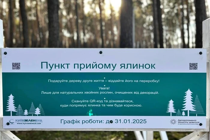 Утилізація ялинок у Києві. Як працюватимуть пункти прийому та де їх знайти