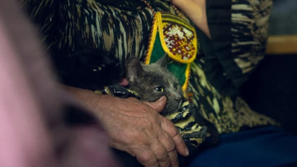 Можливість виїзду з прикордоння Сумщини може ускладнюватися, але до 4 тис. жителів відмовляються від евакуації - ОВА