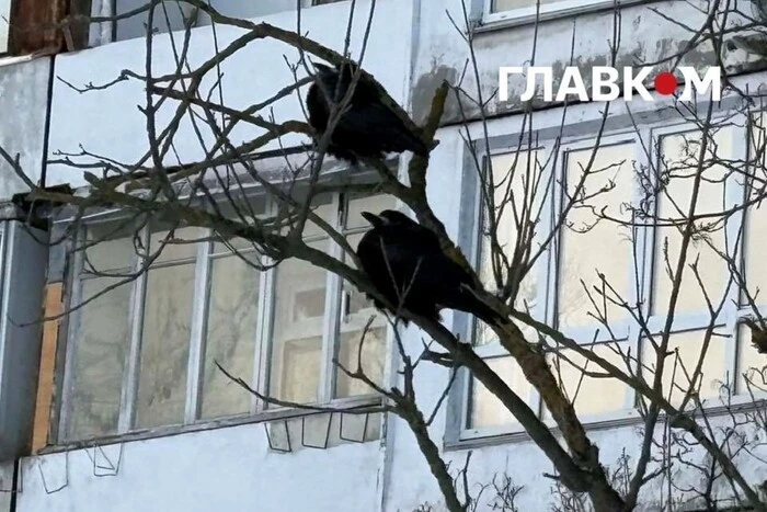 У Києві через знеструмлення стався збій в роботі пунктів моніторингу якості повітря