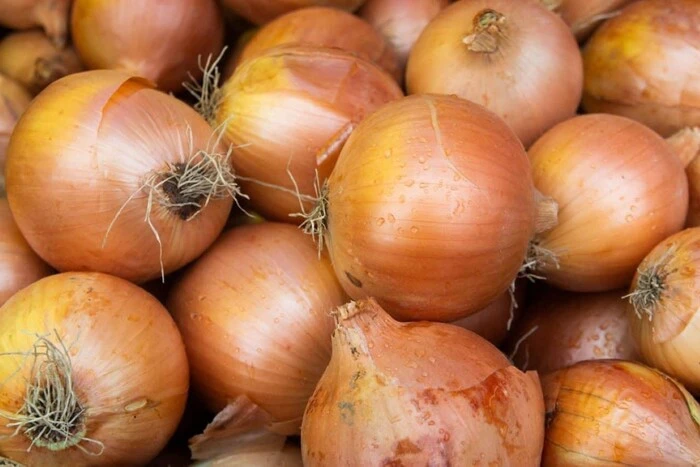 Де знайти щойно зібрані харчі в Києві: розклад&hellip;