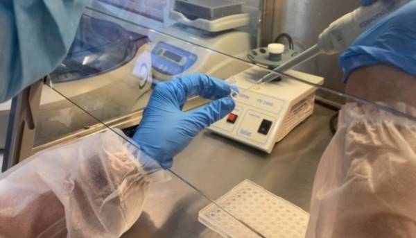 Навіщо армії потрібні ДНК-проби військових: пояснення від Міноборони