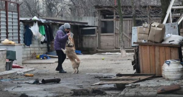 Атака рф на Запоріжжя: пошкодження отримав собачий притулок