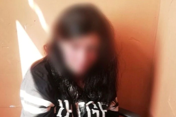 Ув’язнення на рік за наругу над матір’ю: київський…