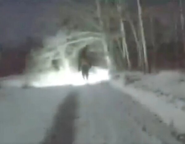 Замерзлий до немоти. У Києві копи знайшли та допомогли бідоласі-марафонцю, що збився зі шляху в парковій зоні.