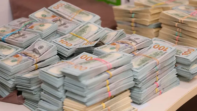 В.о. голови Держекоінспекції заявив, що знайшов $653 000 у гаражі бабусі. Його перевірить ДБР