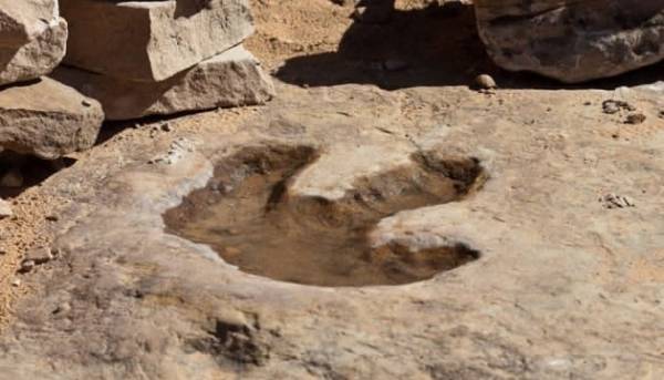 Димне пальне, “Shazam” ери динозаврів та український ШІ-робот-полонянин для окупантів