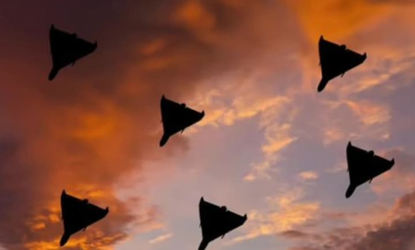 Зеленський запропонував відправити фахівців з ліквідації іранських дронів в обмін на припинення вогню – медіа