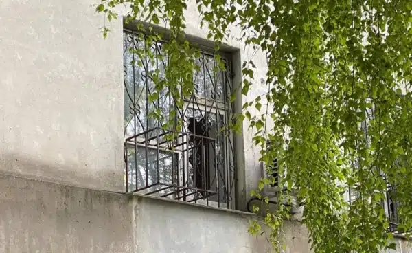 У Дніпрі зруйновано будівлю податкової внаслідок атаки противника. 5 У Дніпрі зруйновано будівлю податкової внаслідок атаки противника. 4