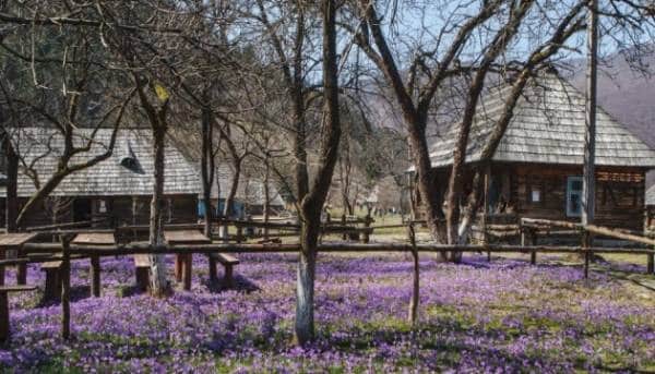 Близько 75% сільських українців не мають наміру змінювати місце проживання. 5 Близько 75% сільських українців не мають наміру змінювати місце проживання. 5