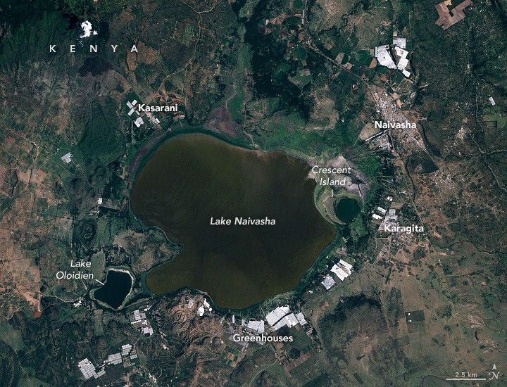 Підвищення рівня води загрожує науковим дослідженням озера Найваша 12
