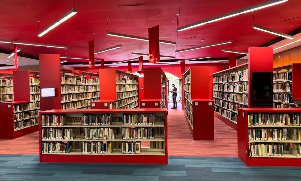 Головна 56 Американці надають перевагу друкованим книгам над цифровими чи аудіо; мало…