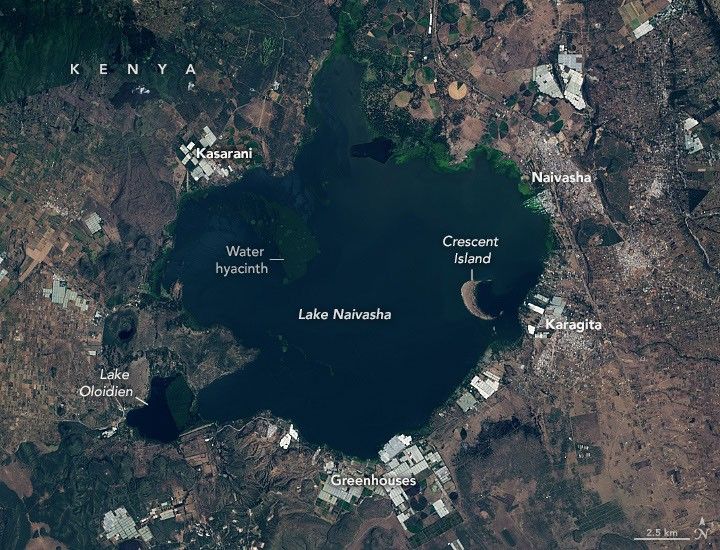 Підвищення рівня води загрожує науковим дослідженням озера Найваша 13